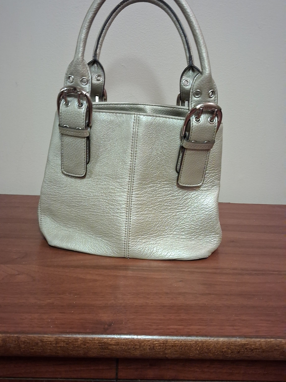 Tignanello Metallic Silver Top-Handle Shoulder Bag